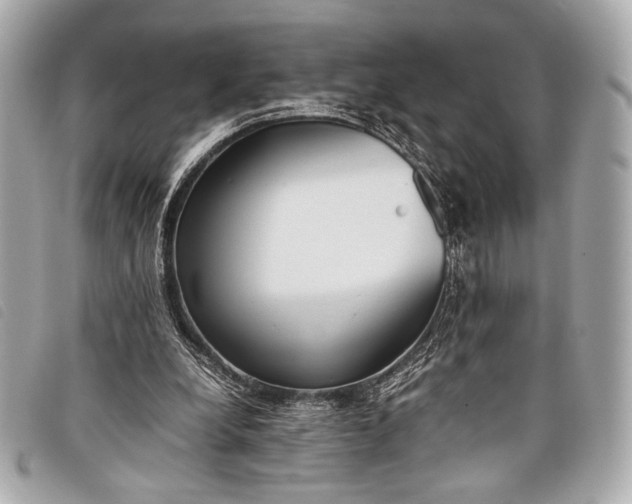X0000098100248200804181432