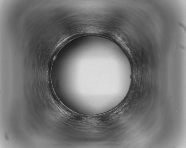 X0000098100249200804181432