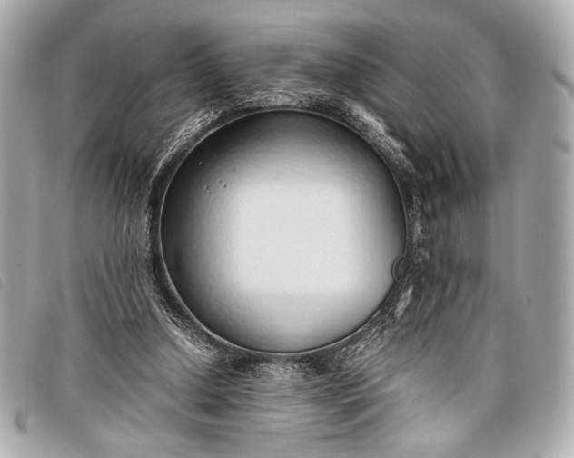 X0000098100250200804181432