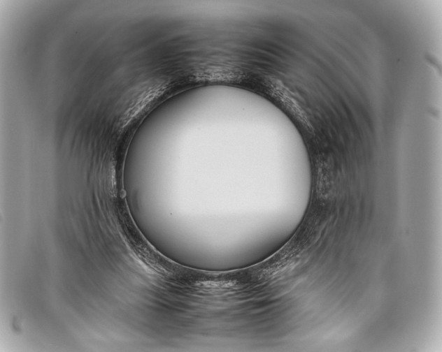 X0000098100251200804181432