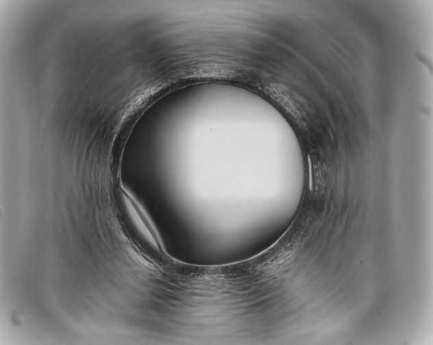 X0000098100252200804181432