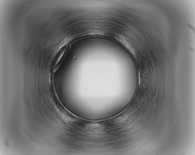 X0000098100253200804181432