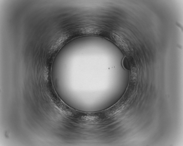 X0000098100255200804181432