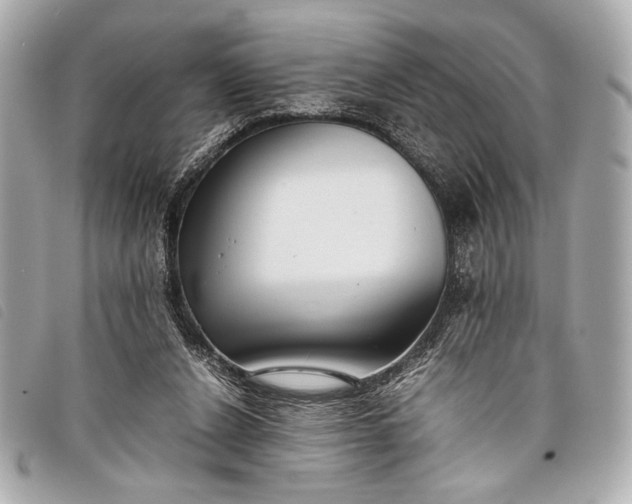 X0000098100256200804181432