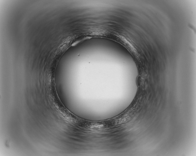 X0000098100257200804181432