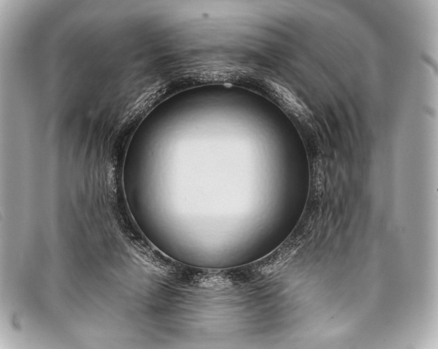 X0000098100258200804181432
