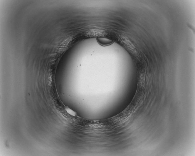 X0000098100259200804181432