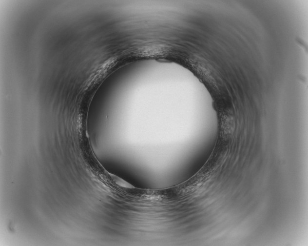 X0000098100260200804181432