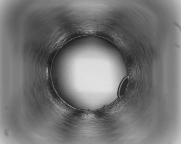 X0000098100262200804181432