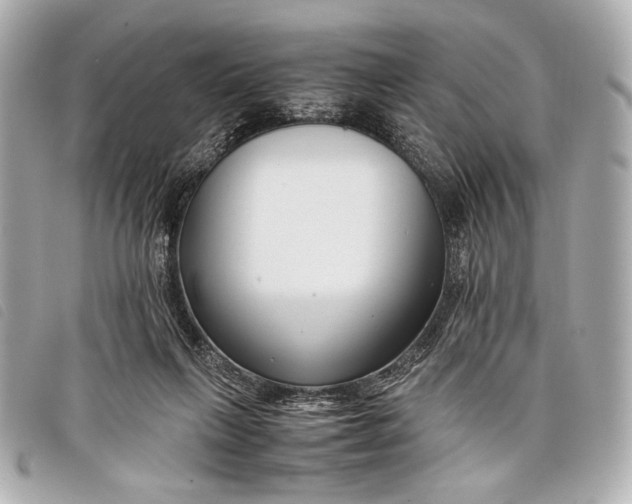 X0000098100263200804181433