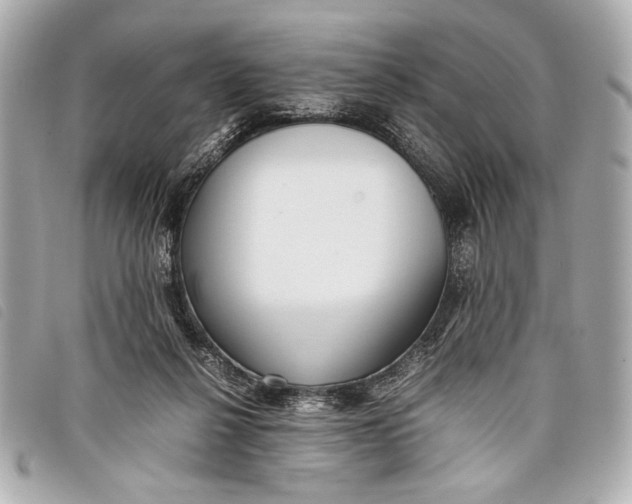 X0000098100264200804181433