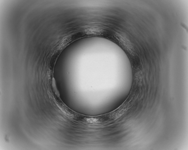X0000098100265200804181433