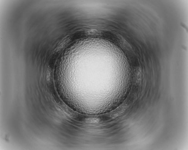 X0000098100266200804181433