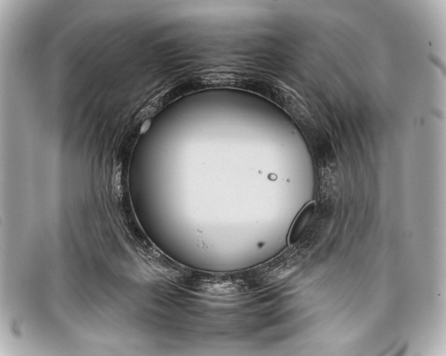 X0000098100267200804181433