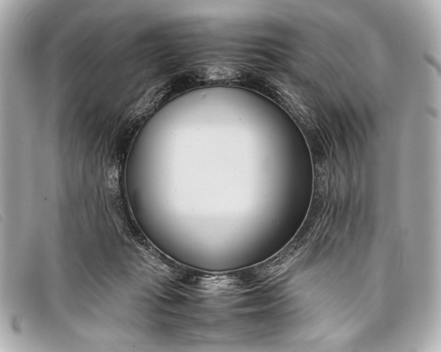X0000098100269200804181433