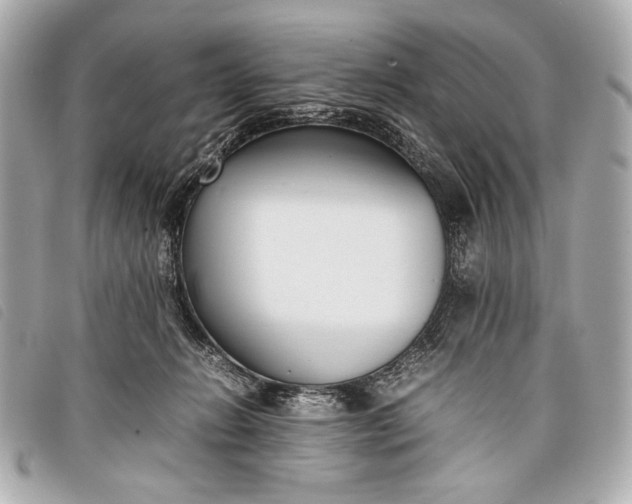 X0000098100270200804181433