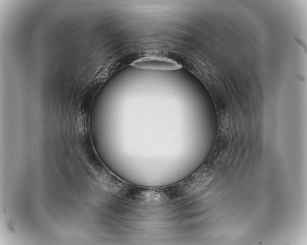 X0000098100272200804181433