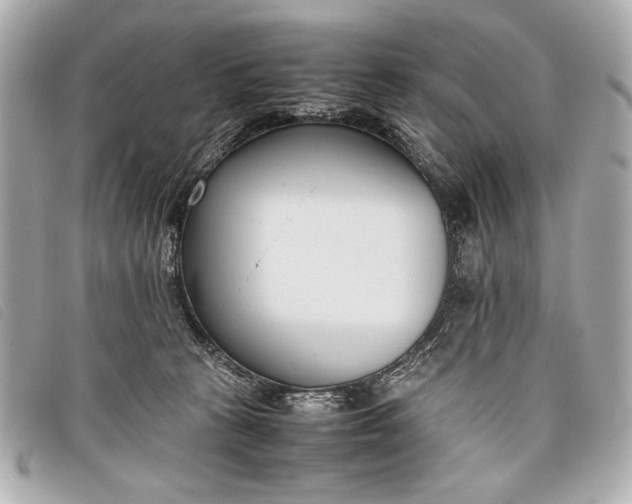 X0000098100273200804181433
