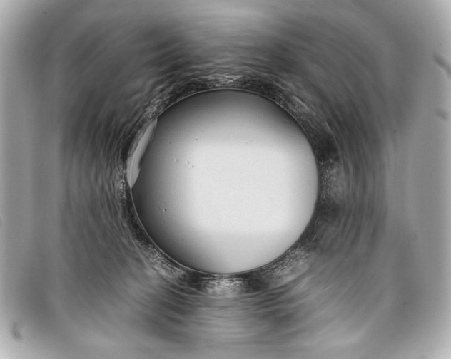 X0000098100274200804181433