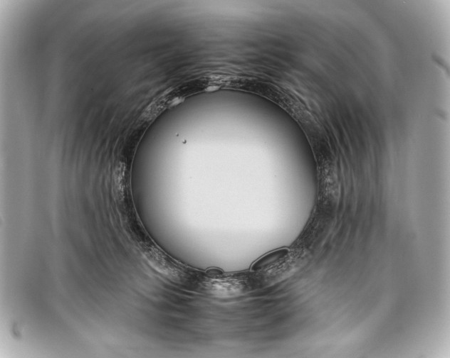 X0000098100275200804181433