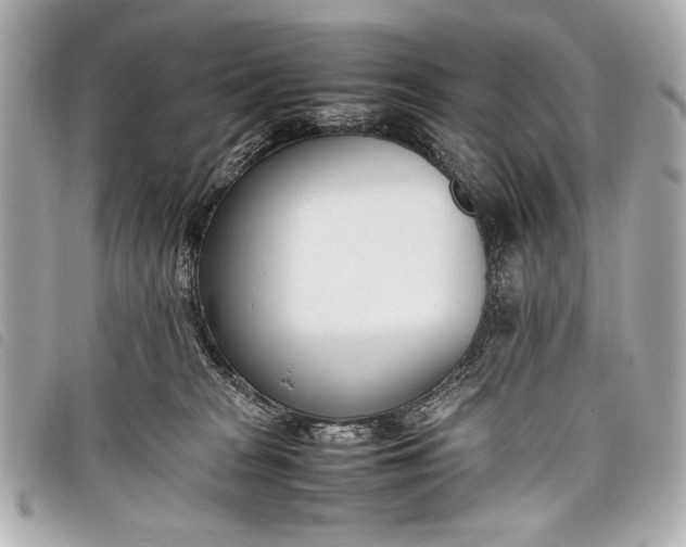 X0000098100277200804181433