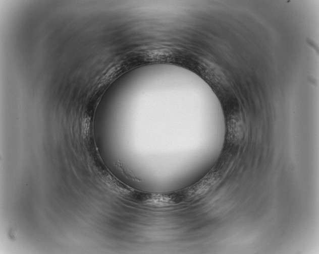 X0000098100278200804181433