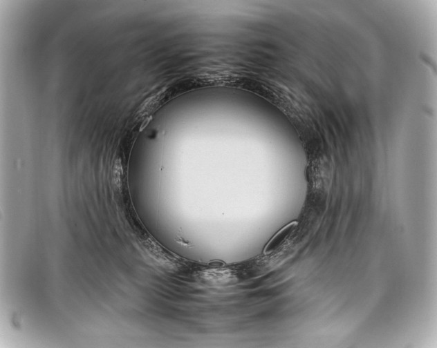 X0000098100279200804181433