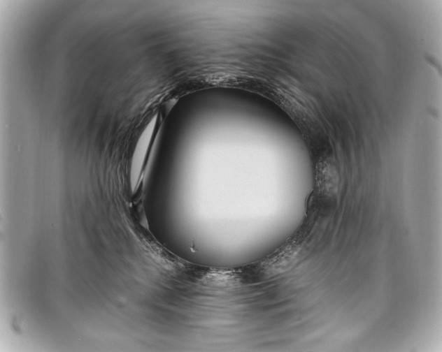 X0000098100280200804181433