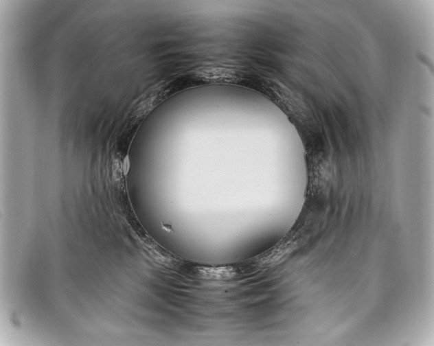 X0000098100281200804181433