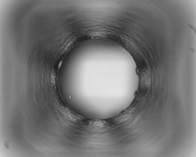 X0000098100282200804181433