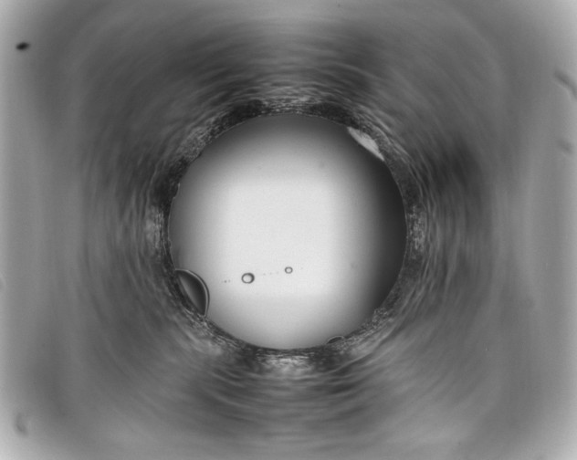 X0000098100283200804181433