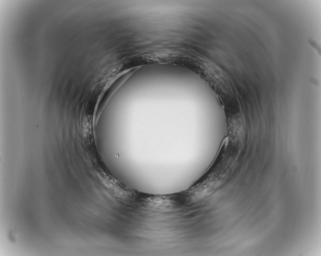 X0000098100284200804181433