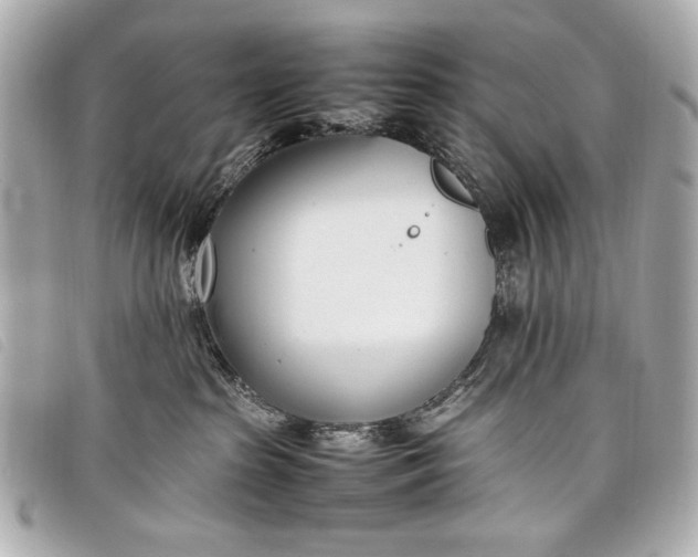 X0000098100285200804181433