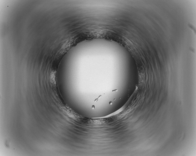 X0000098100286200804181433