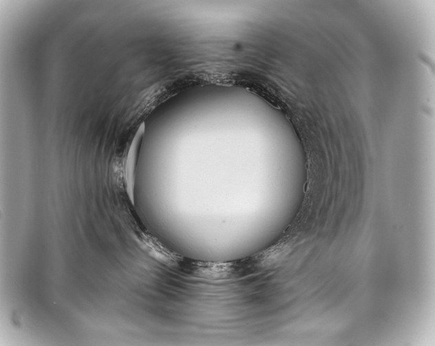 X0000098100288200804181433