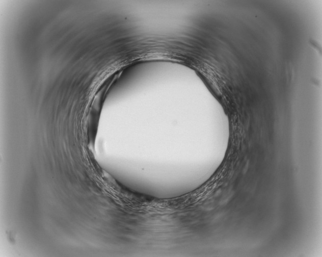 X0000098100289200804181432