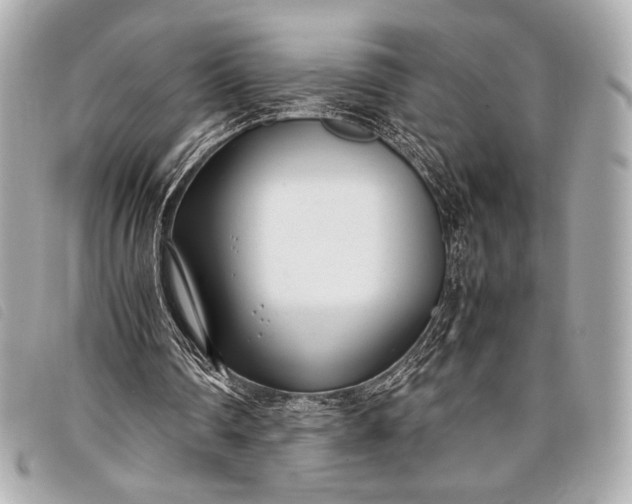 X0000098100290200804181432