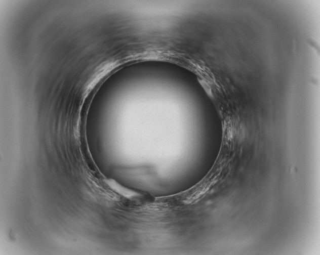 X0000098100292200804181432