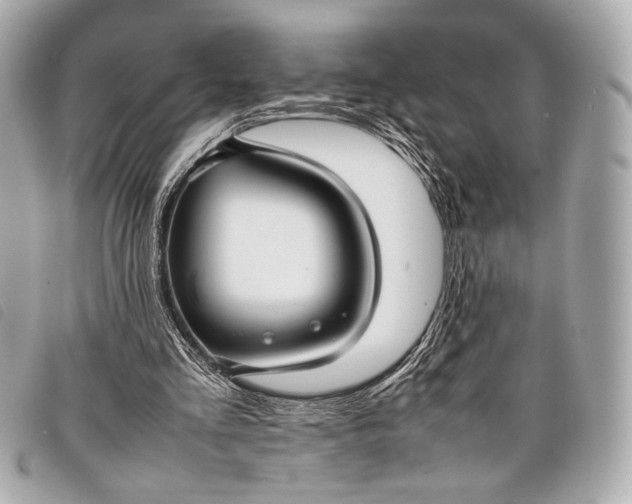X0000098100293200804181432