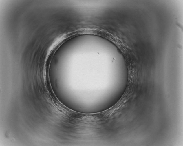 X0000098100294200804181432