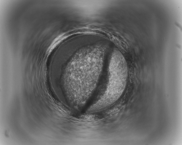 X0000098100295200804181432