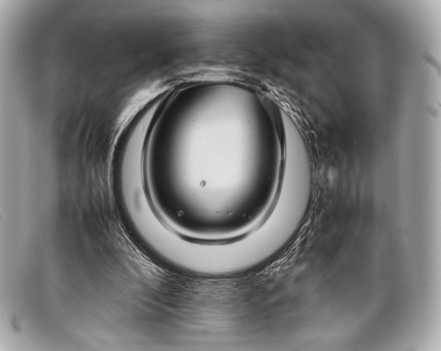 X0000098100296200804181432