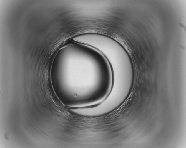 X0000098100297200804181432