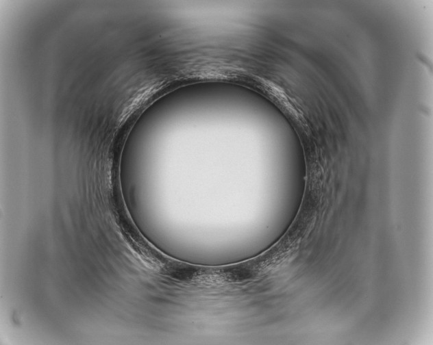 X0000098100299200804181432