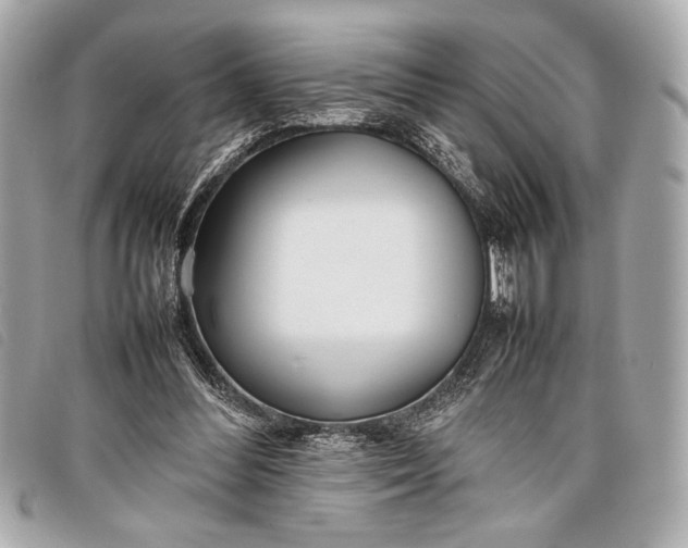 X0000098100300200804181432