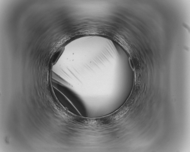 X0000098100301200804181432