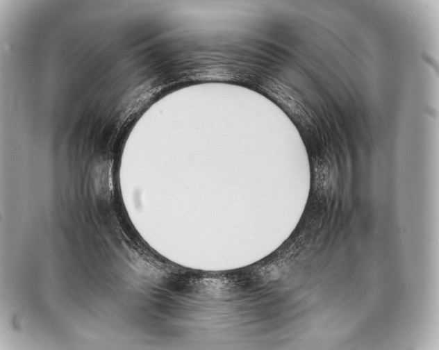 X0000098100302200804181432