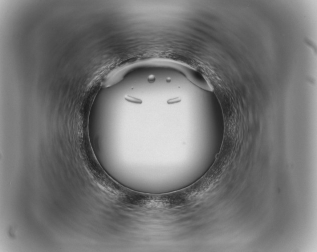 X0000098100303200804181432