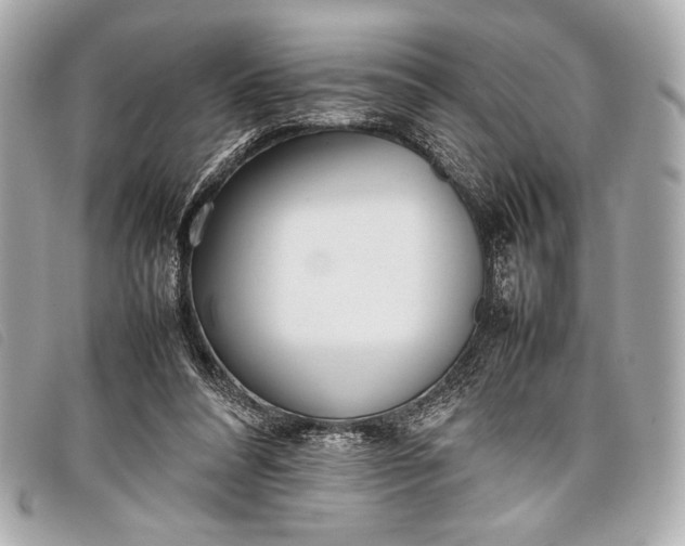 X0000098100304200804181432