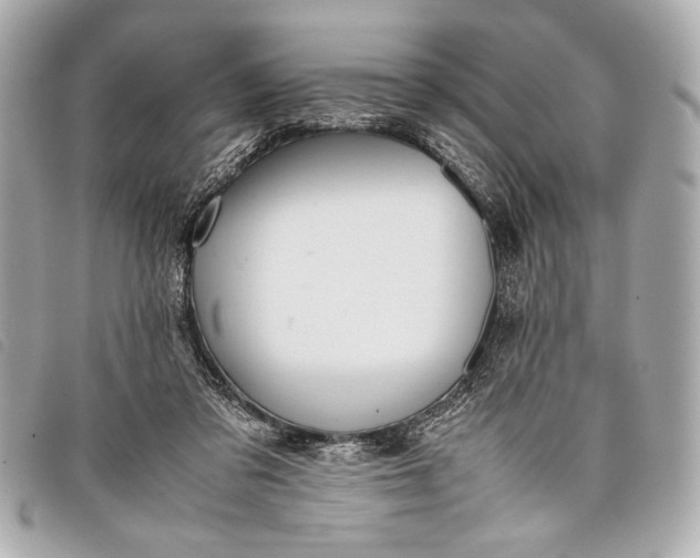 X0000098100309200804181432